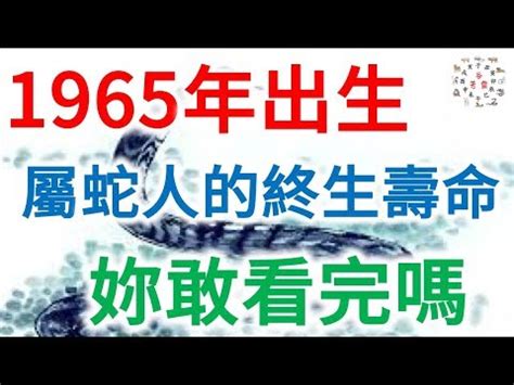 65年是什麼年